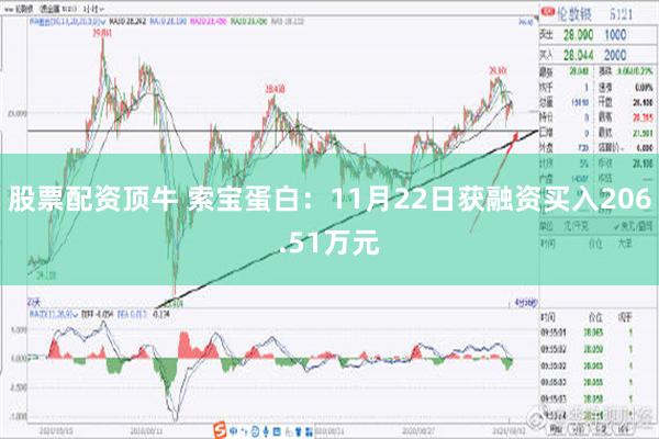 股票配资顶牛 索宝蛋白：11月22日获融资买入206.51万元