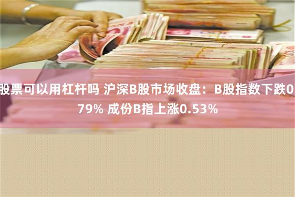 股票可以用杠杆吗 沪深B股市场收盘：B股指数下跌0.79% 成份B指上涨0.53%