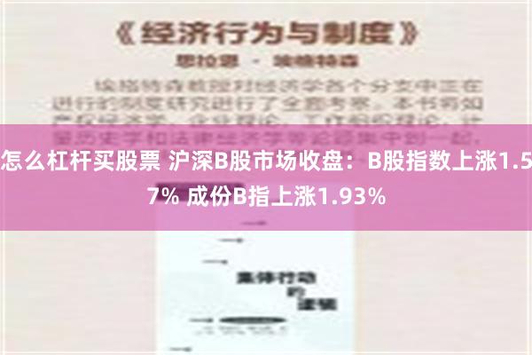 怎么杠杆买股票 沪深B股市场收盘：B股指数上涨1.57% 成份B指上涨1.93%